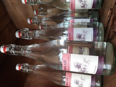 Hydrolade géranium rosat 75cl