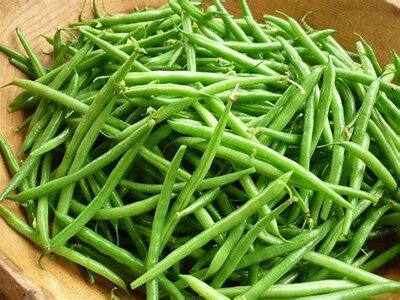 Haricot vert ( vert ou violet)
