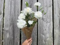 Fleurs botte - oeillet anglais