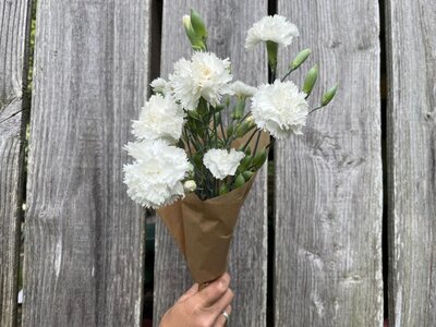 Fleurs botte - oeillet anglais
