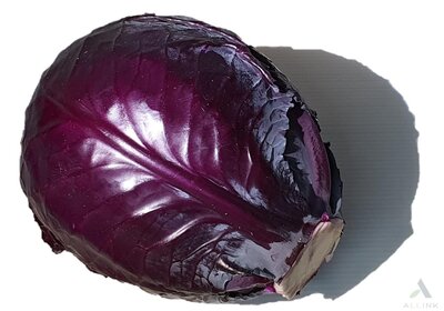 Chou rouge
