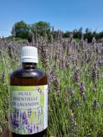 Huile essentielle de lavandin