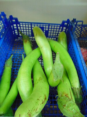 Aubergine verte