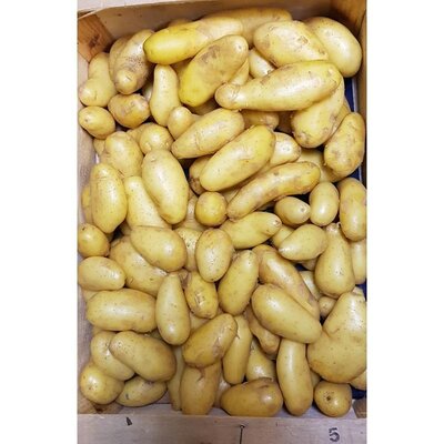Pomme de terre délikatess