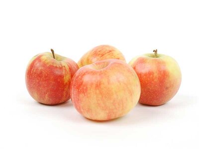 Pommes akane