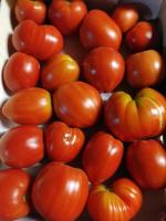 Tomate coeur de boeuf