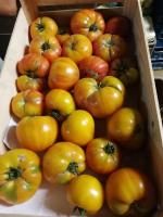 Tomate ananas et jaune