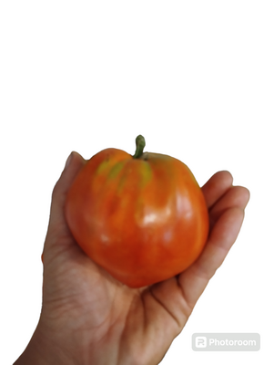 Tomates produites en circuit court