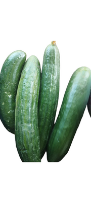 Concombre
