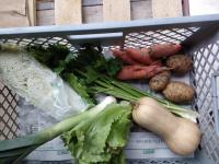 Petit panier de légumes