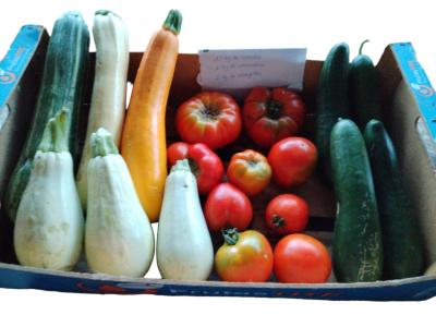 Panier de légumes (moyen)