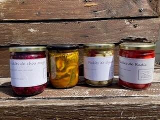 Pickles de chou rouge