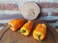 Poivrons oranges