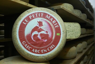Gouda fenugrec