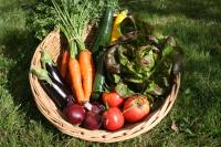 Panier de légumes de saison