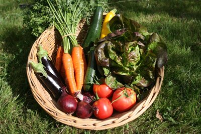 Panier de légumes de saison
