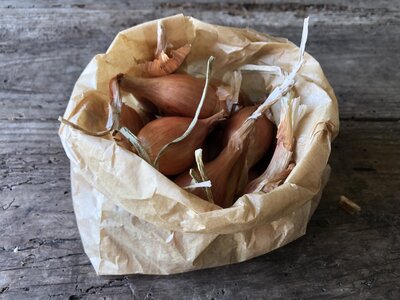 Sachet 400g échalotes