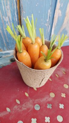 Petite carotte à croquer