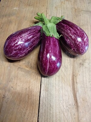 Aubergine