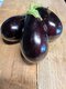 Aubergine - image 2