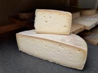 Tomme de chèvre