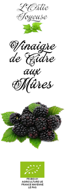Vinaigre de cidre à la mûre