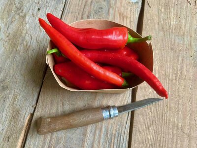 Piments