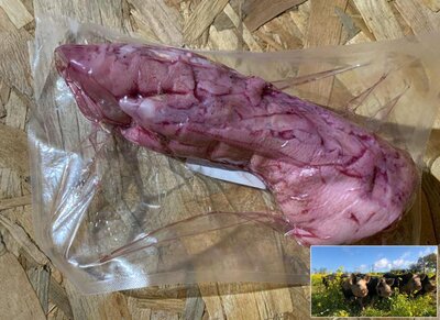 Pied de porc - porc plein air