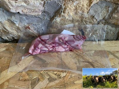 Langue de porc - porc plein air
