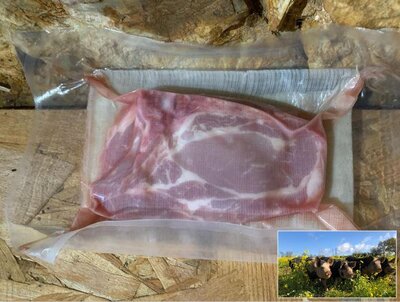 Côte échine - porc plein air