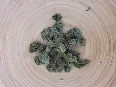 Fleurs de chanvre - cbg - gold 12% - tisane