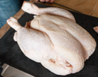 Coq/ coq decoupe pour cuisine en sauce