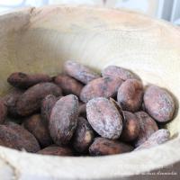 Fèves de cacao trinitario