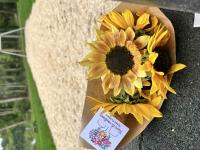 Botte de tournesols