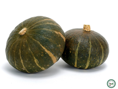 Courge hokkaido