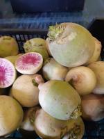 Radis asiatique red meat