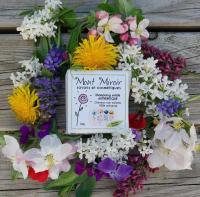 Shampoing solide 'authentique'