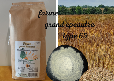 Farine de grand épeautre 1kg
