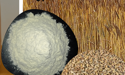 Farine de grand épeautre 5kg