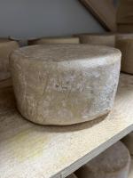 Tomme de chevre