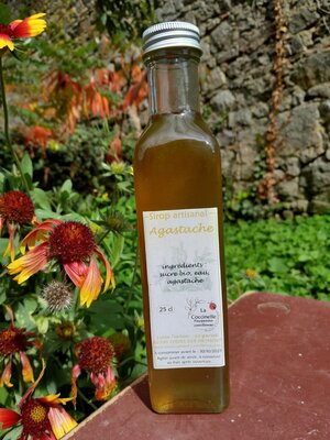 Sirop d'agastache