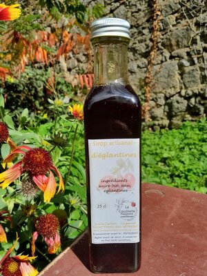Sirop d'églantine