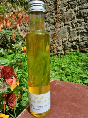 Vinaigre à l'ail des ours