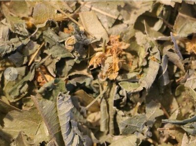 Tisane 'la digeste'