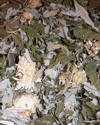 Tisane des 'femmes'