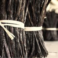 Vanille bourbon entière en poudre