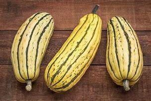 Courge delicata