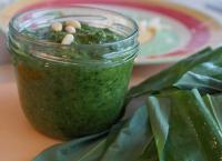 Basilic lacto fermenté