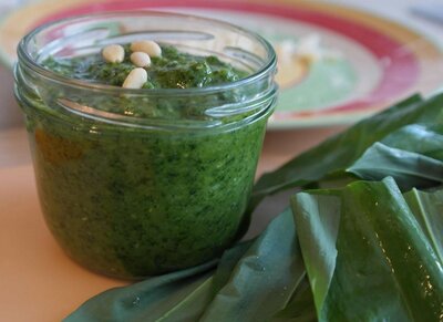 Basilic lacto fermenté