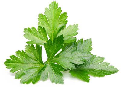 Persil sec pot à épices dont 1  de consigne
